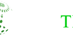UNIDIZTEC