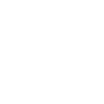BIRBAL Infinite Solutions