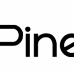 Pitch Pine Media Pvt. Ltd.